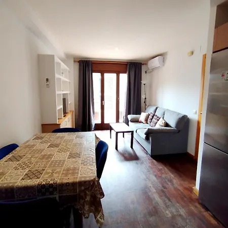 Apartaments Sort Pirineus Room photo