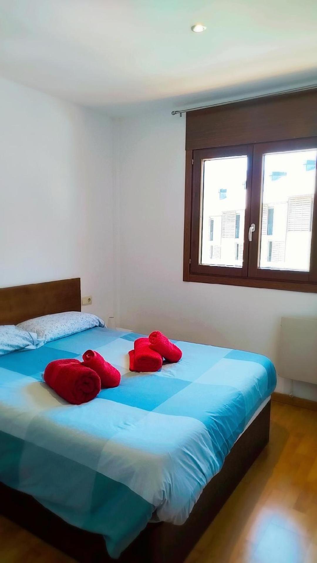 Apartament Pirineus Sort