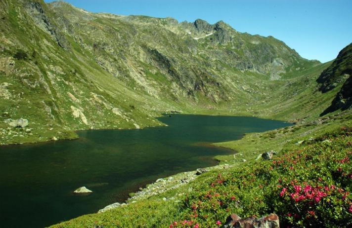 Pirineus