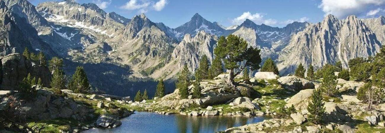Apartment Pirineus *